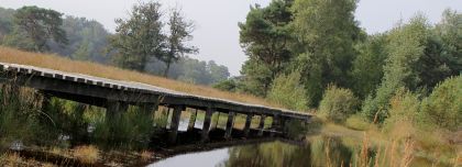 houten loopbrug in het veen