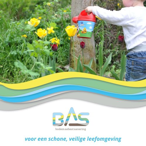 Logo BAS