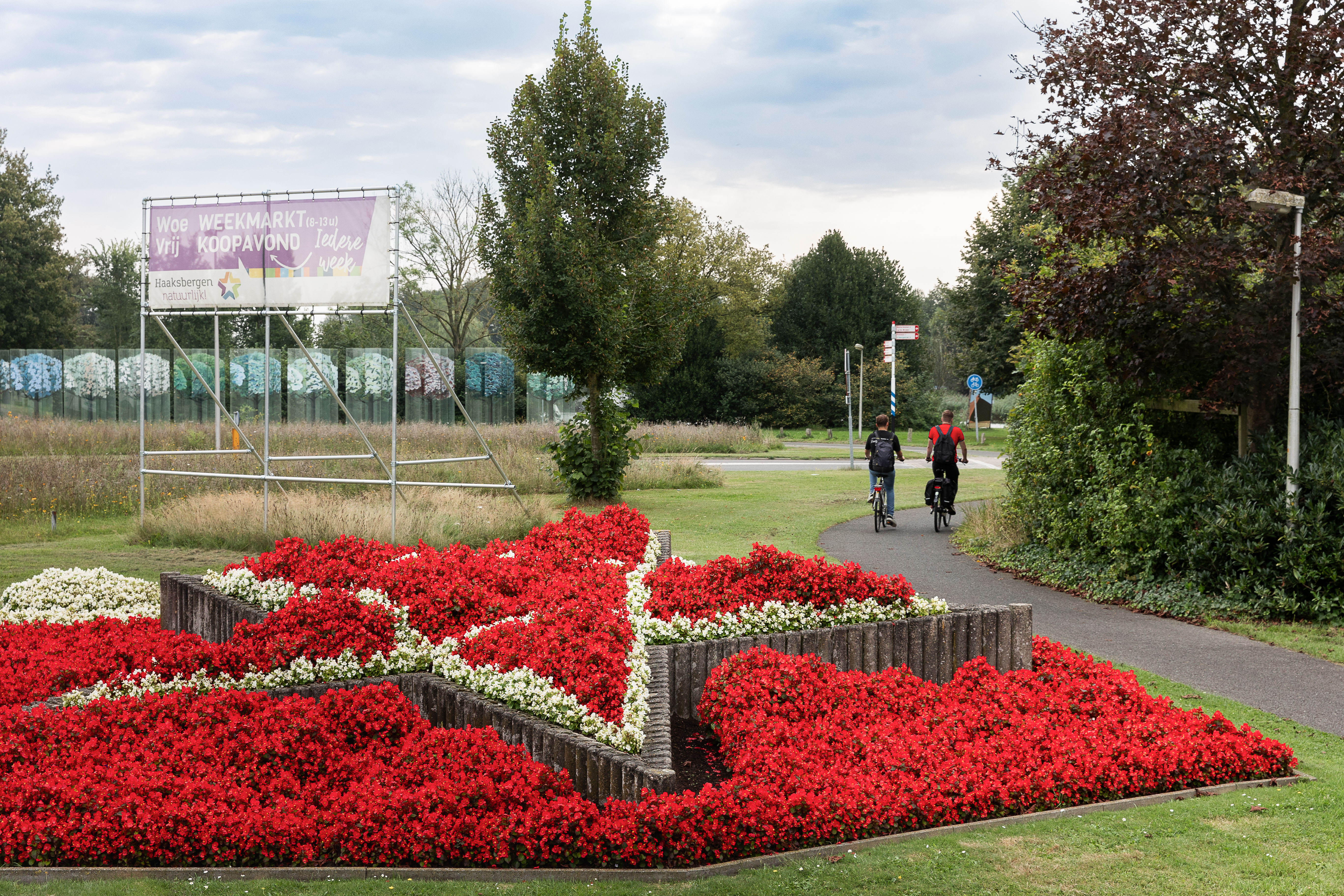 Rode bloemen met het glazen bos en twee jongens op de fiets.
