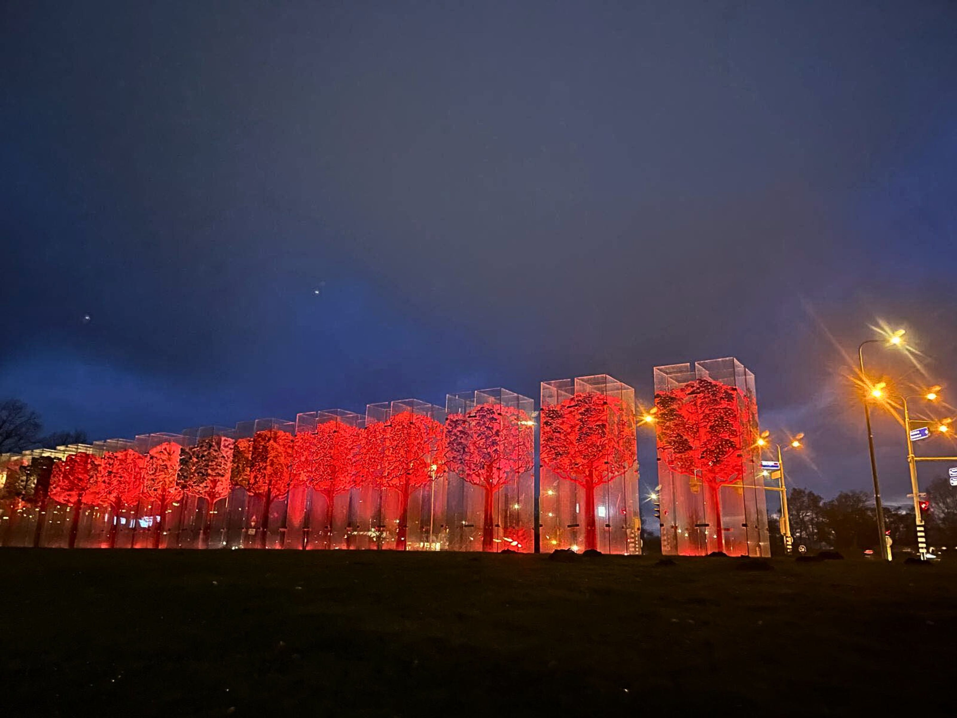 Foto van het glazen bos dat oranje kleurt.