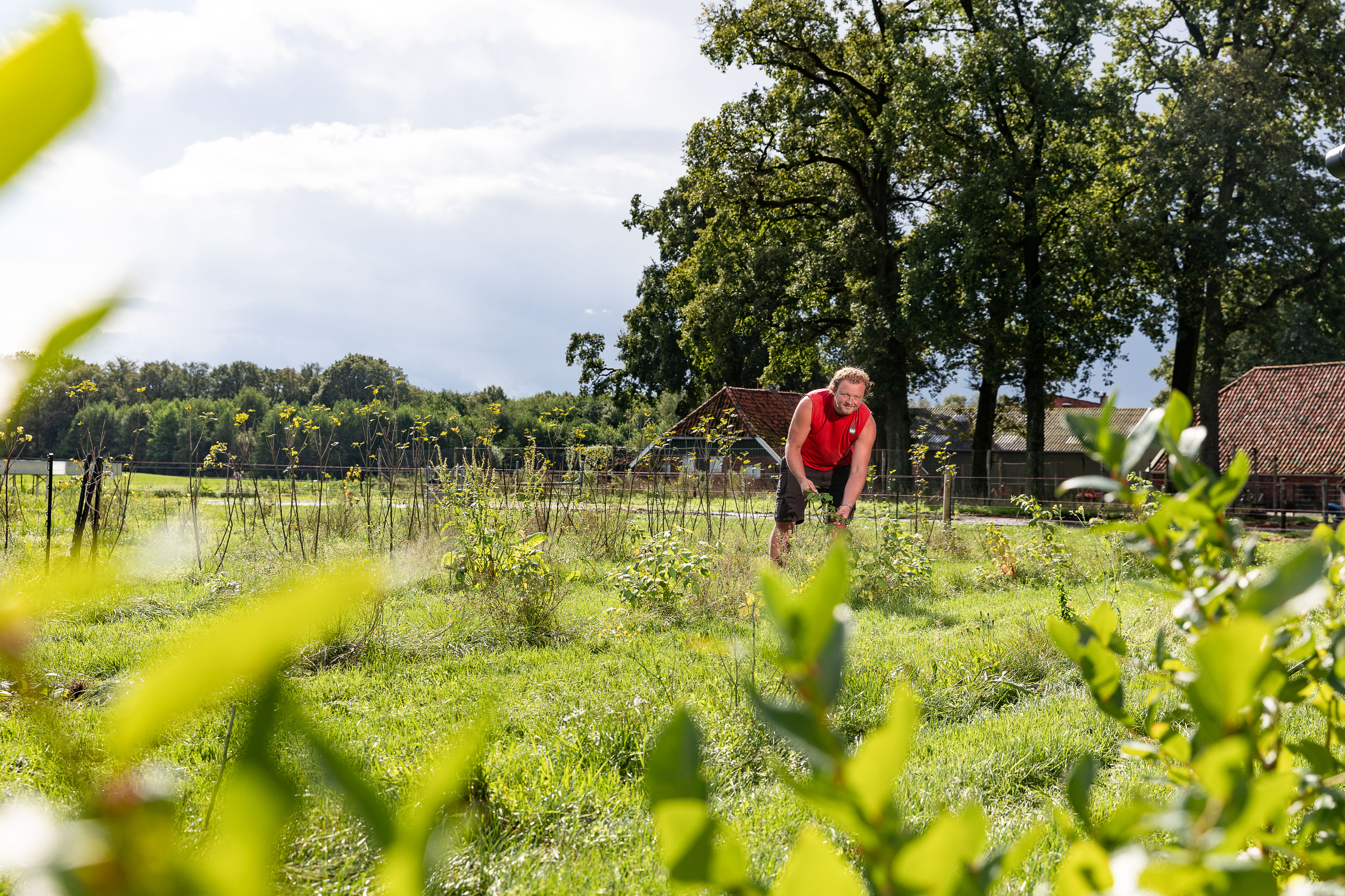 Man werkt op het land. 