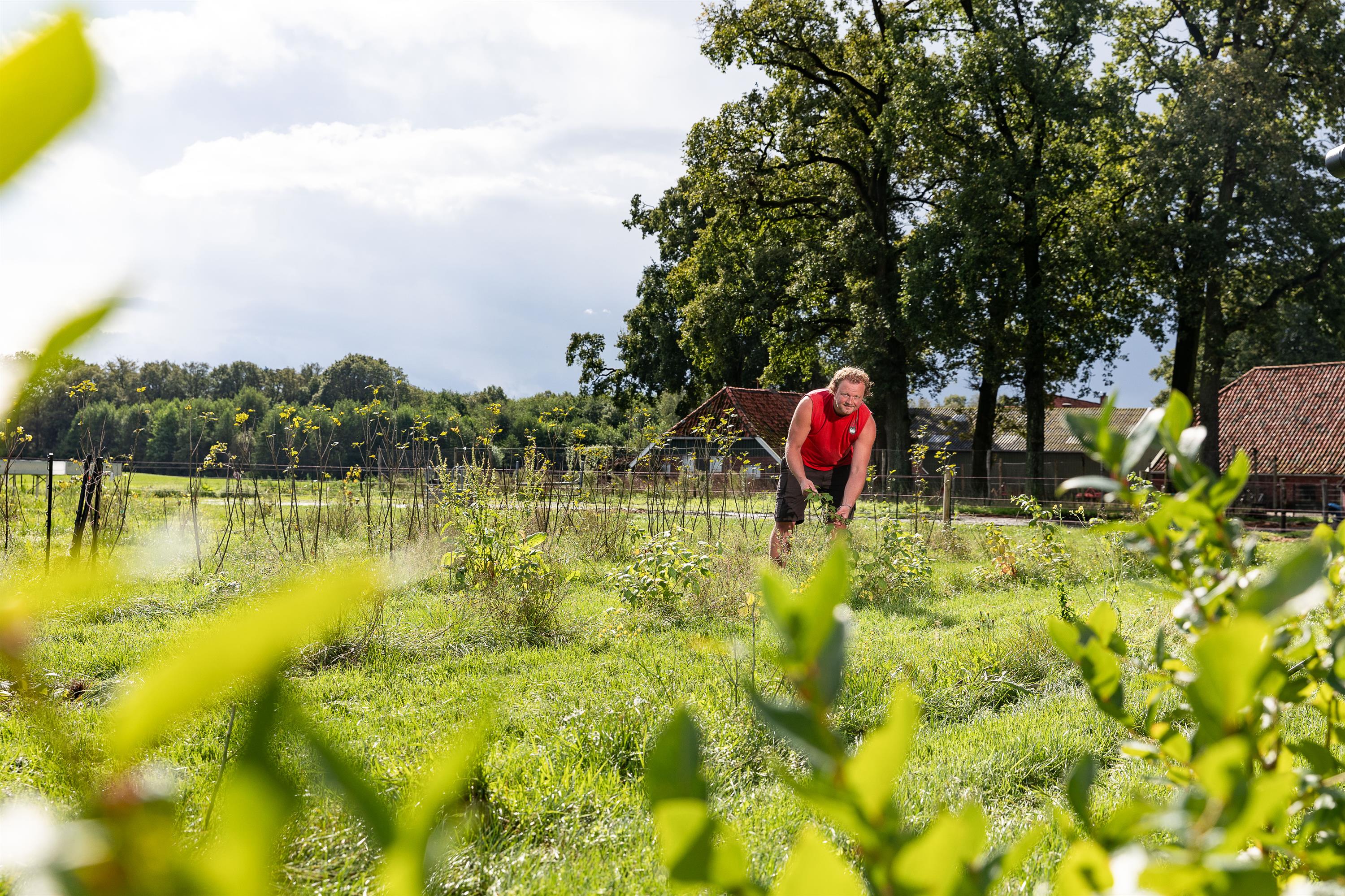 Man werkt op het land. 