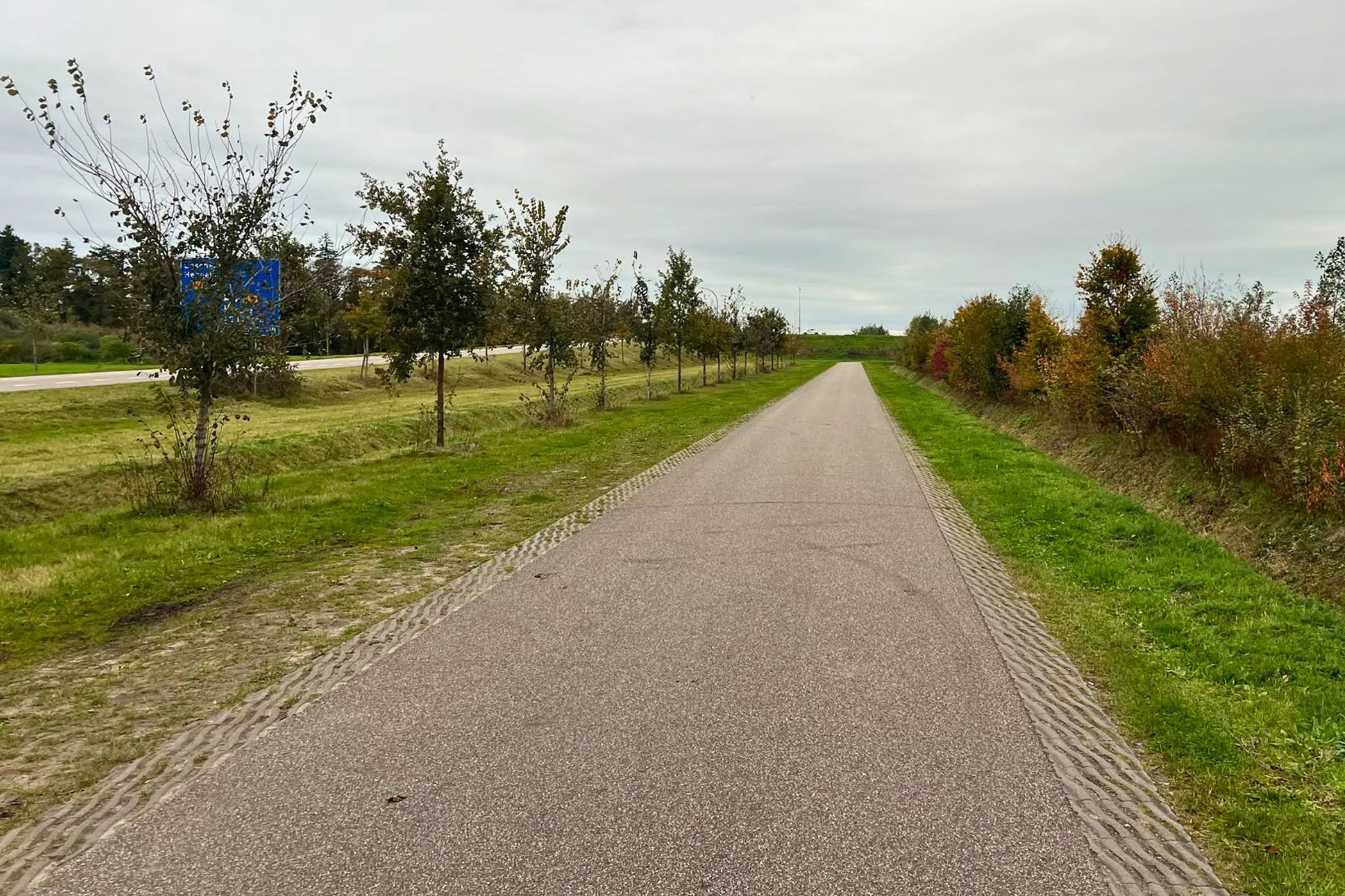 Een asfaltweg met aan de linkerkant bomen en aan de rechterkant struiken.