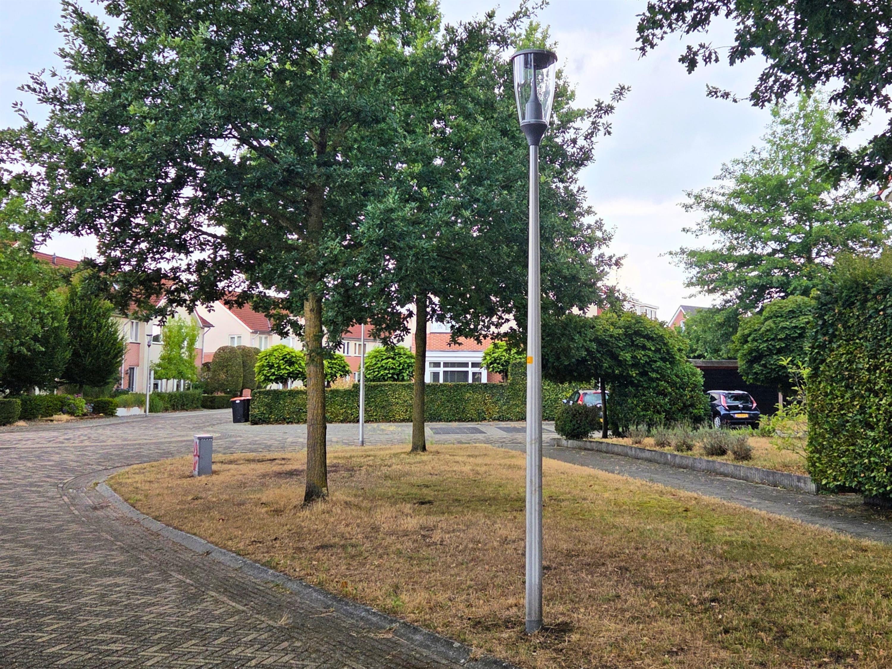 Lantaarnpaal aan de Fluitekruid in de wijk Hassinkbrink. Dezelfde lampen komen ook in De Veldmaat en De Pas.