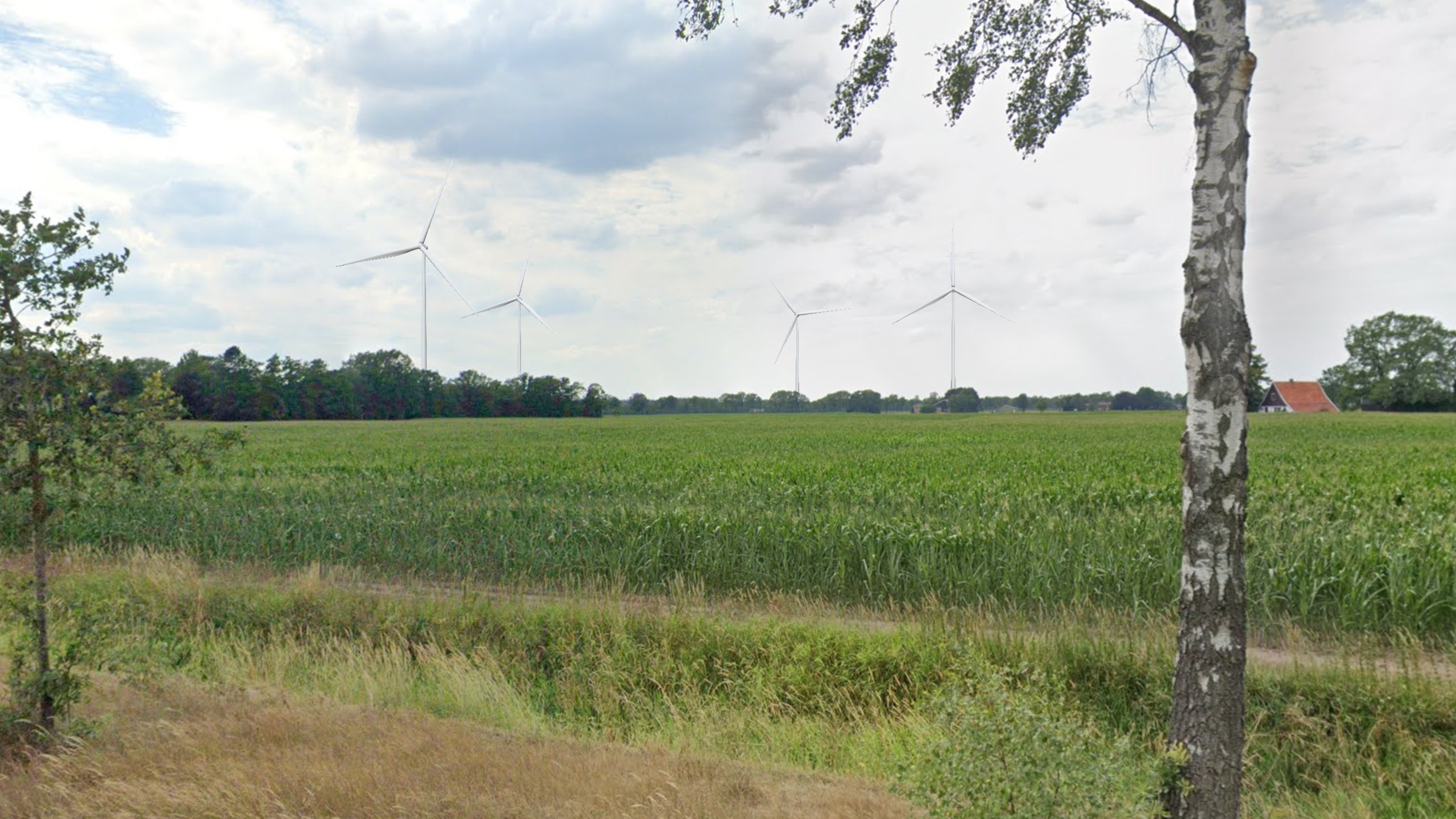 Grasveld met bomen en windmolens.
